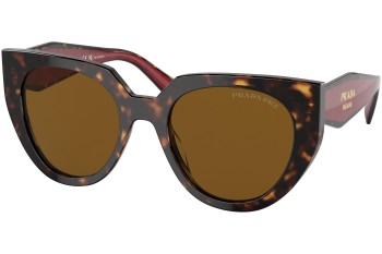 Napszemüvegek Prada PR14WS 2AU5Y1 Polarized Cat Eye Havana