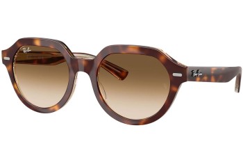 Napszemüvegek Ray-Ban Gina RB4399 141451 Szogletes Havana