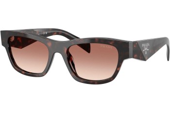 Napszemüvegek Prada PRB09S 17N50L Cat Eye Havana