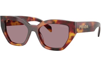 Napszemüvegek Prada PRA09S 22A20I Cat Eye Havana