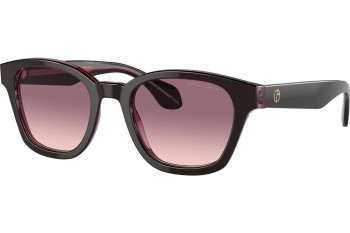 Napszemüvegek Giorgio Armani AR8207 60888D Szogletes Barna