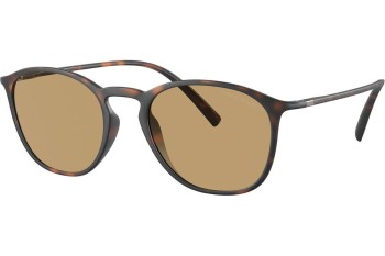 Napszemüvegek Giorgio Armani AR8186U 508973 Kerek Havana