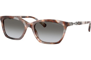 Napszemüvegek Emporio Armani EA4238F 61953C Szogletes Havana