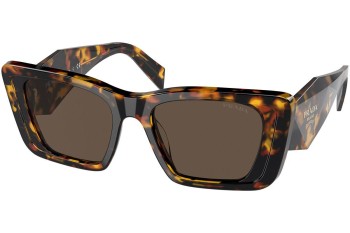 Napszemüvegek Prada PR08YS 01V8C1 Cat Eye Havana