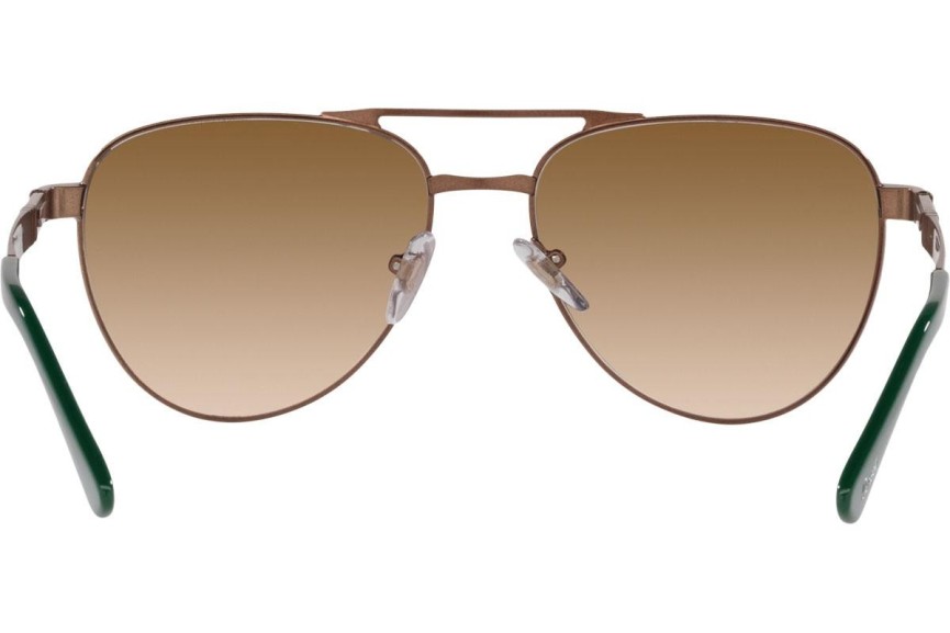 Napszemüvegek Persol PO1003S 112451 Pilota Barna