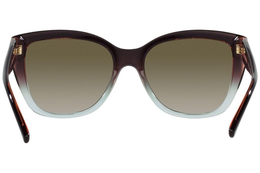 Napszemüvegek Emporio Armani EA4198 59898E Cat Eye Barna