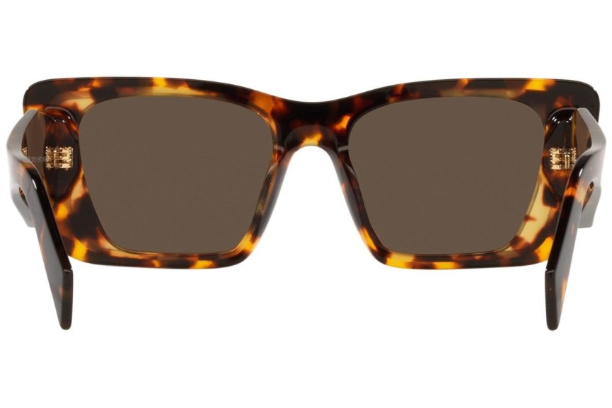 Napszemüvegek Prada PR08YS 01V8C1 Cat Eye Havana