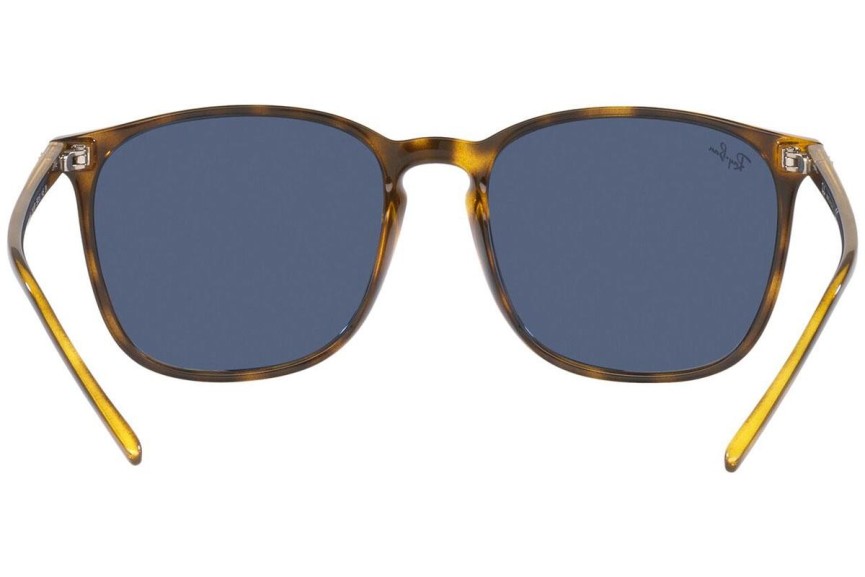 Napszemüvegek Ray-Ban RB4387 710/80 Szogletes Havana