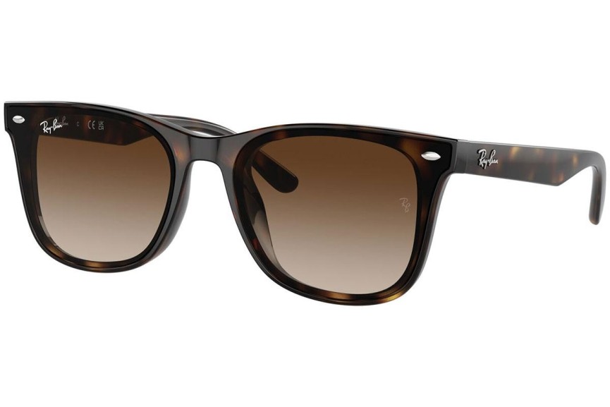 Napszemüvegek Ray-Ban RB4420 710/13 Szogletes Havana