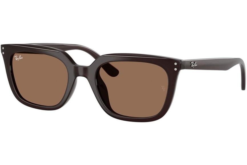 Napszemüvegek Ray-Ban RB4439D 623173 Szogletes Barna