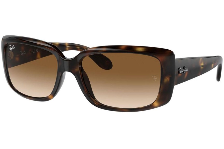 Napszemüvegek Ray-Ban RB4389 710/51 Pillow Havana