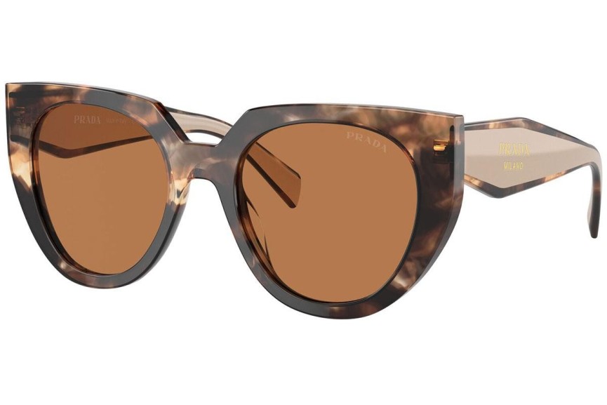 Napszemüvegek Prada PR14WS 01R2Z1 Cat Eye Havana