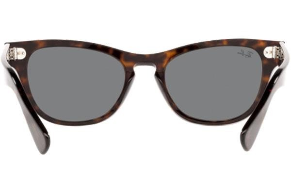 Napszemüvegek Ray-Ban Laramie RB2201 902/B1 Szogletes Havana