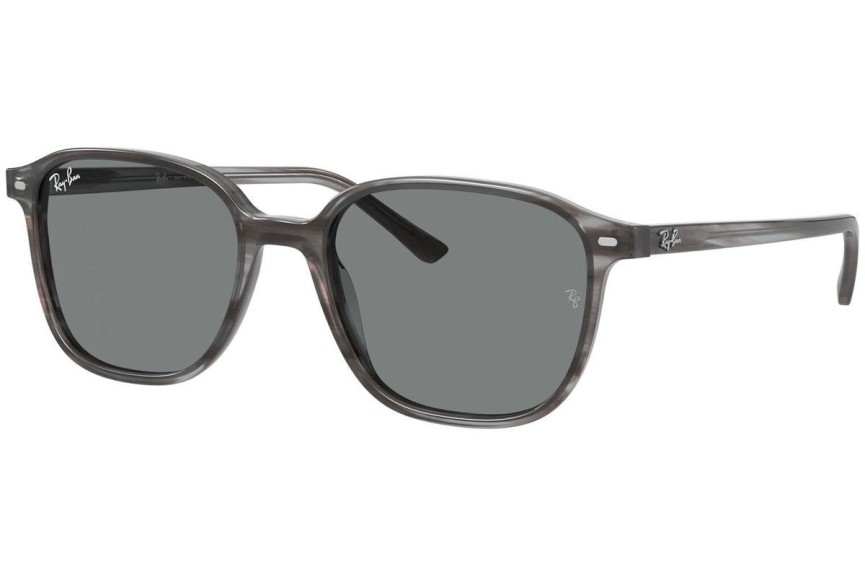 Napszemüvegek Ray-Ban Leonard RB2193 1314B1 Szogletes Szürke