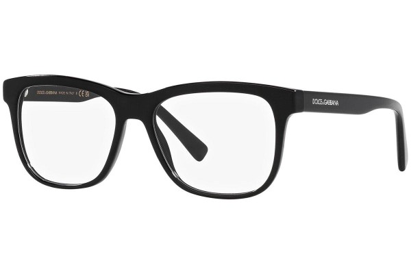 Dolce & Gabbana DX3356 501