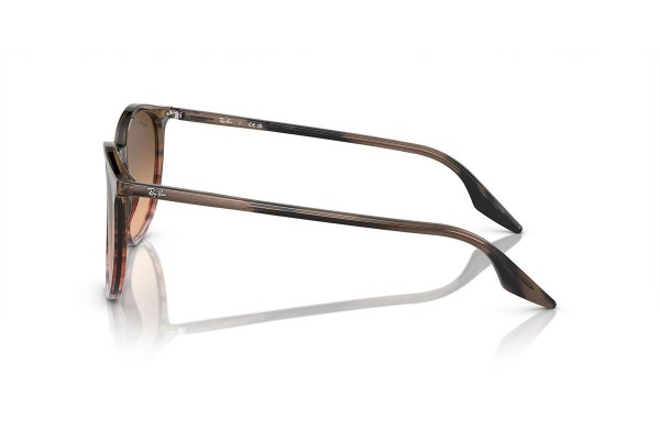 Napszemüvegek Ray-Ban RB2204 13953B Kerek Barna