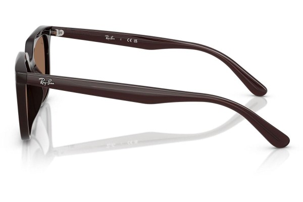 Napszemüvegek Ray-Ban RB4439D 623173 Szogletes Barna