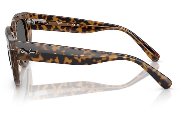 Napszemüvegek Ray-Ban RB2286 1292B1 Szogletes Havana