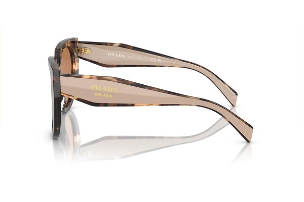 Napszemüvegek Prada PR14WS 01R2Z1 Cat Eye Havana