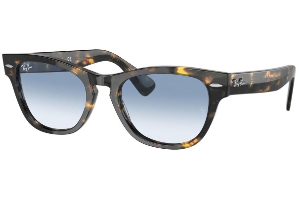 Ray-Ban Laramie RB2201 13323F