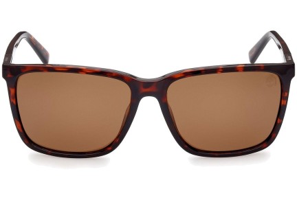 Napszemüvegek Timberland TB9280-H 52H Polarized Szogletes Havana