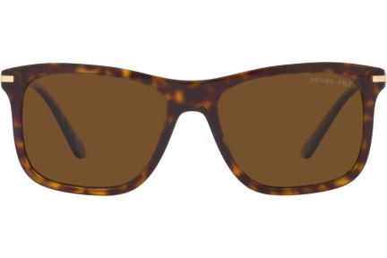 Napszemüvegek Prada PR18WS 2AU01D Polarized Szogletes Havana