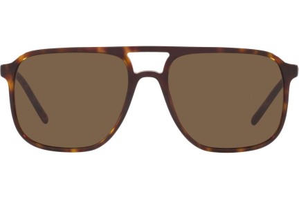 Napszemüvegek Dolce & Gabbana DG4423 502/73 Pilota Havana