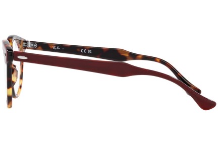 szemüvegeinket Ray-Ban Eagleeye RX5598 8250 Kerek Több színű