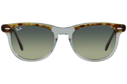 Napszemüvegek Ray-Ban Eagleeye RB2398 1376BH Kerek Zöld