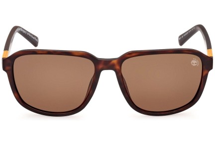 Napszemüvegek Timberland TB9311 52H Polarized Szogletes Havana