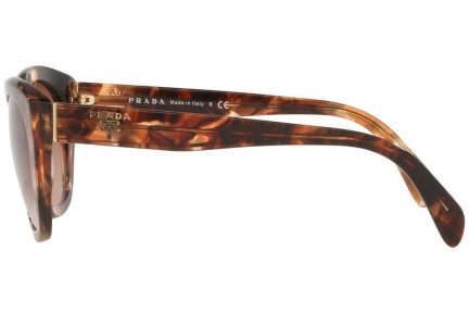 Napszemüvegek Prada PR16XS 07R0A6 Szogletes Havana