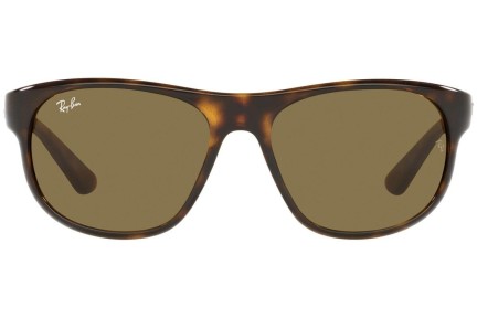 Napszemüvegek Ray-Ban RB4351 710/73 Ovális Havana