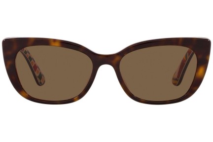 Napszemüvegek Dolce & Gabbana DX4427 321773 Cat Eye Havana