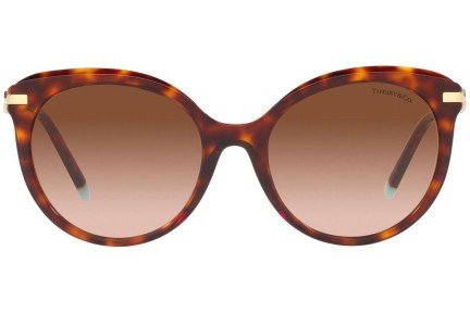 Napszemüvegek Tiffany & Co. TF4189B 80023B Cat Eye Havana