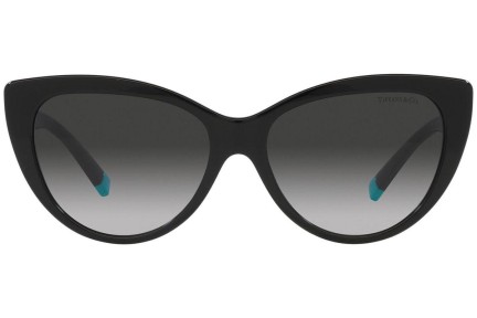 Napszemüvegek Tiffany & Co. TF4196 80013C Cat Eye Fekete