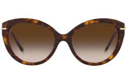 Napszemüvegek Tiffany & Co. TF4187 80153B Cat Eye Havana