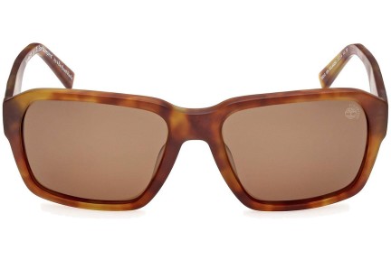 Napszemüvegek Timberland TB9343 53H Polarized Szogletes Havana