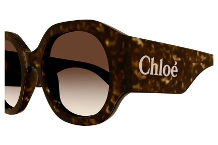 Napszemüvegek Chloe CH0234S 002 Kerek Havana