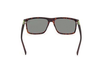 Napszemüvegek Timberland TB00008 52R Polarized Szogletes Havana