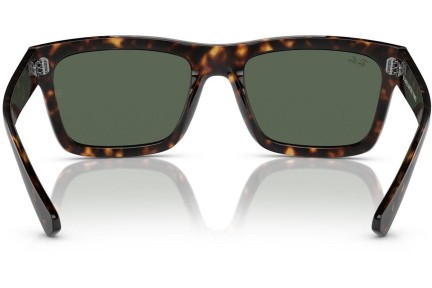 Napszemüvegek Ray-Ban Warren RB4396 135971 Pillow Havana