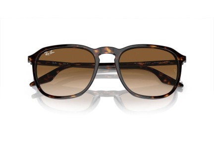 Napszemüvegek Ray-Ban RB2203 902/51 Szogletes Havana