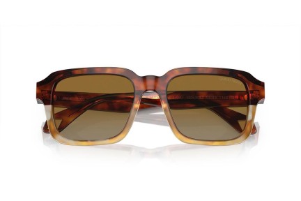 Napszemüvegek Giorgio Armani AR8194U 6034B2 Szogletes Havana