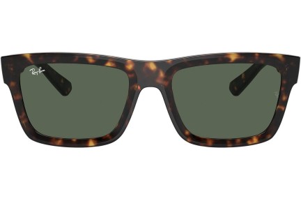 Ray-Ban Warren RB4396 135971