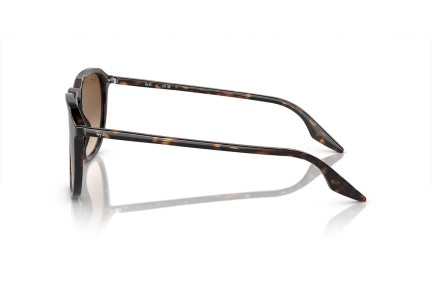 Napszemüvegek Ray-Ban RB2203 902/51 Szogletes Havana