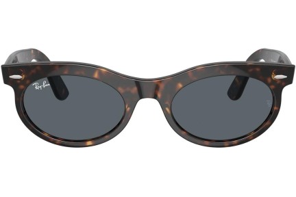 Napszemüvegek Ray-Ban RB2242 902/R5 Browline Havana