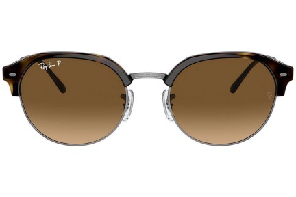 Napszemüvegek Ray-Ban RB4429 710/M2 Polarized Ovális Havana