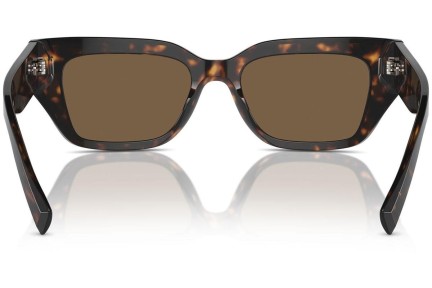 Napszemüvegek Dolce & Gabbana DG4462 502/73 Cat Eye Havana