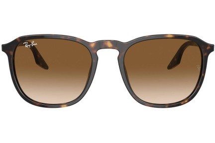 Napszemüvegek Ray-Ban RB2203 902/51 Szogletes Havana