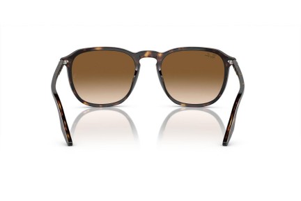 Napszemüvegek Ray-Ban RB2203 902/51 Szogletes Havana