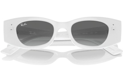 Napszemüvegek Ray-Ban RB4427 675911 Browline Fehér